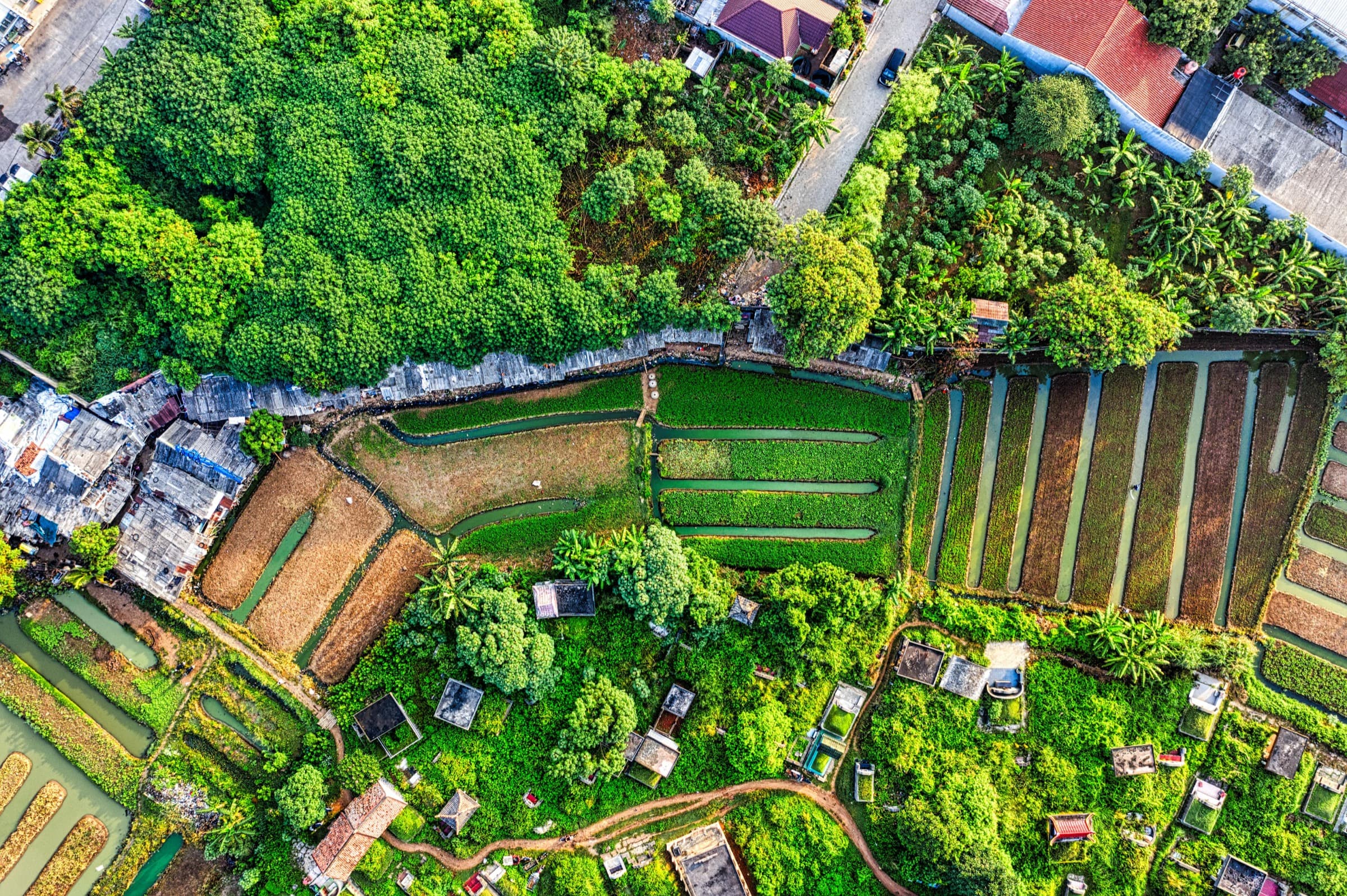 Aerial view of cultivated plots and waterways among neighborhood buildings
