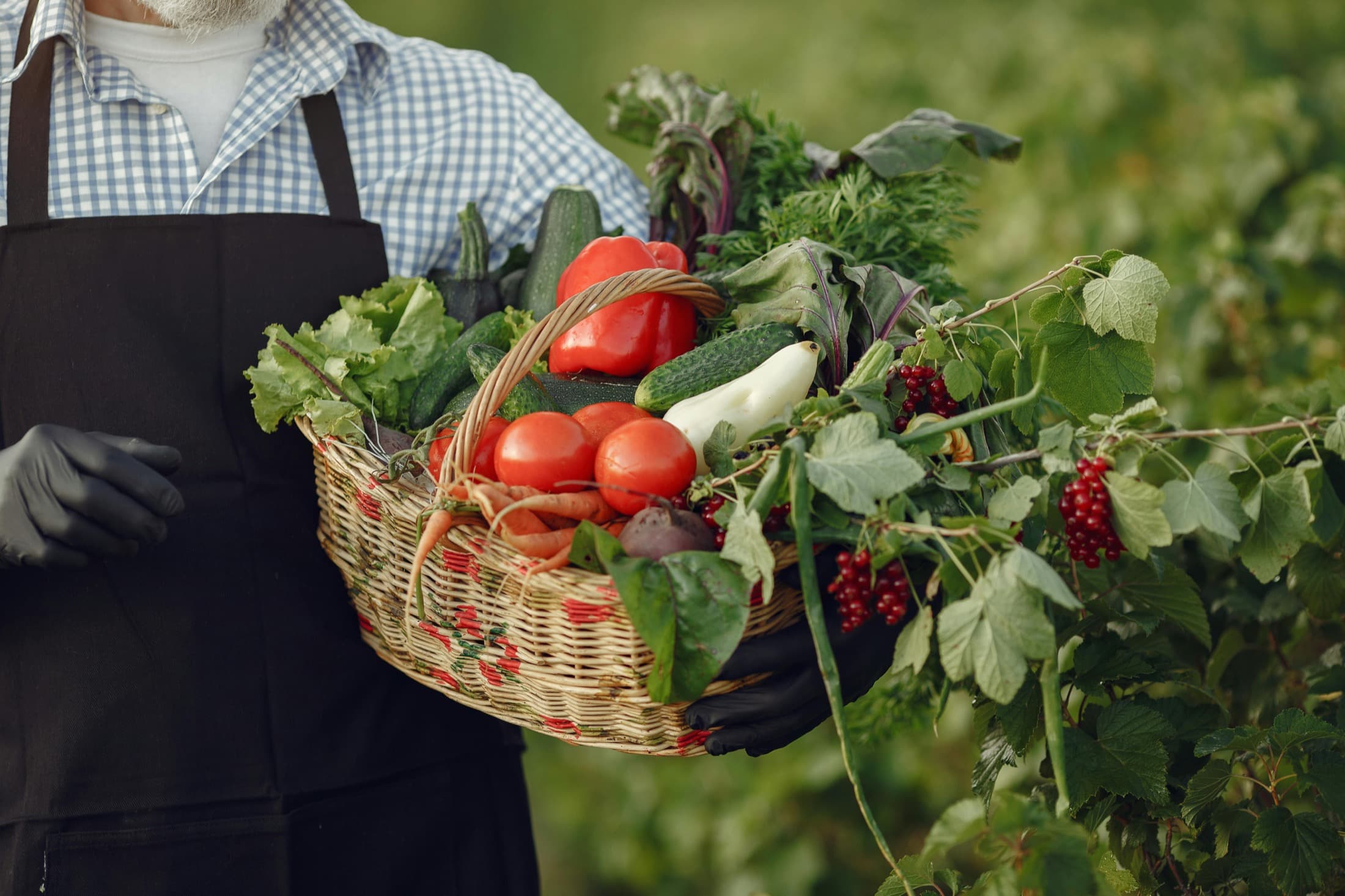 A grower holding a basket filled with vegetables and fruit