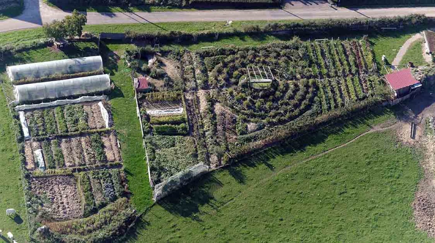 Aerial view of curved and rectangular crop beds